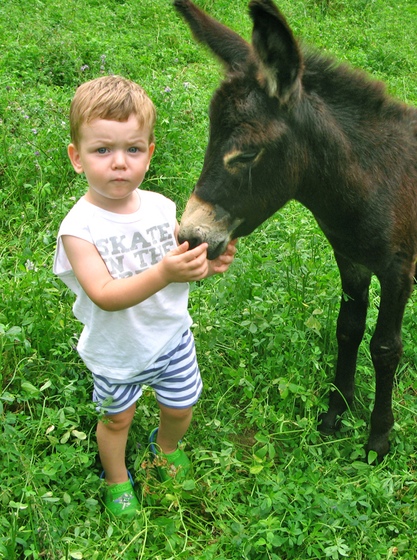 Familienbesuch