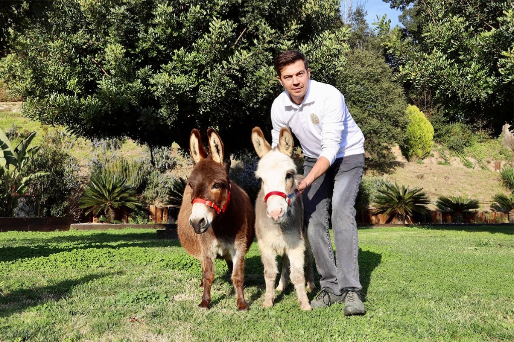 Jordi Matas con dos burros miniatura